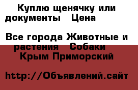 Куплю щенячку или документы › Цена ­ 3 000 - Все города Животные и растения » Собаки   . Крым,Приморский